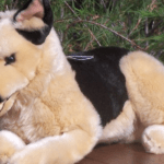 15.-Whats-the-Beauty-of-a-Plush-Stuffed-German-Shepherd